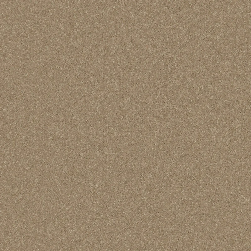 Apollo Elite Primo Plus Chenille