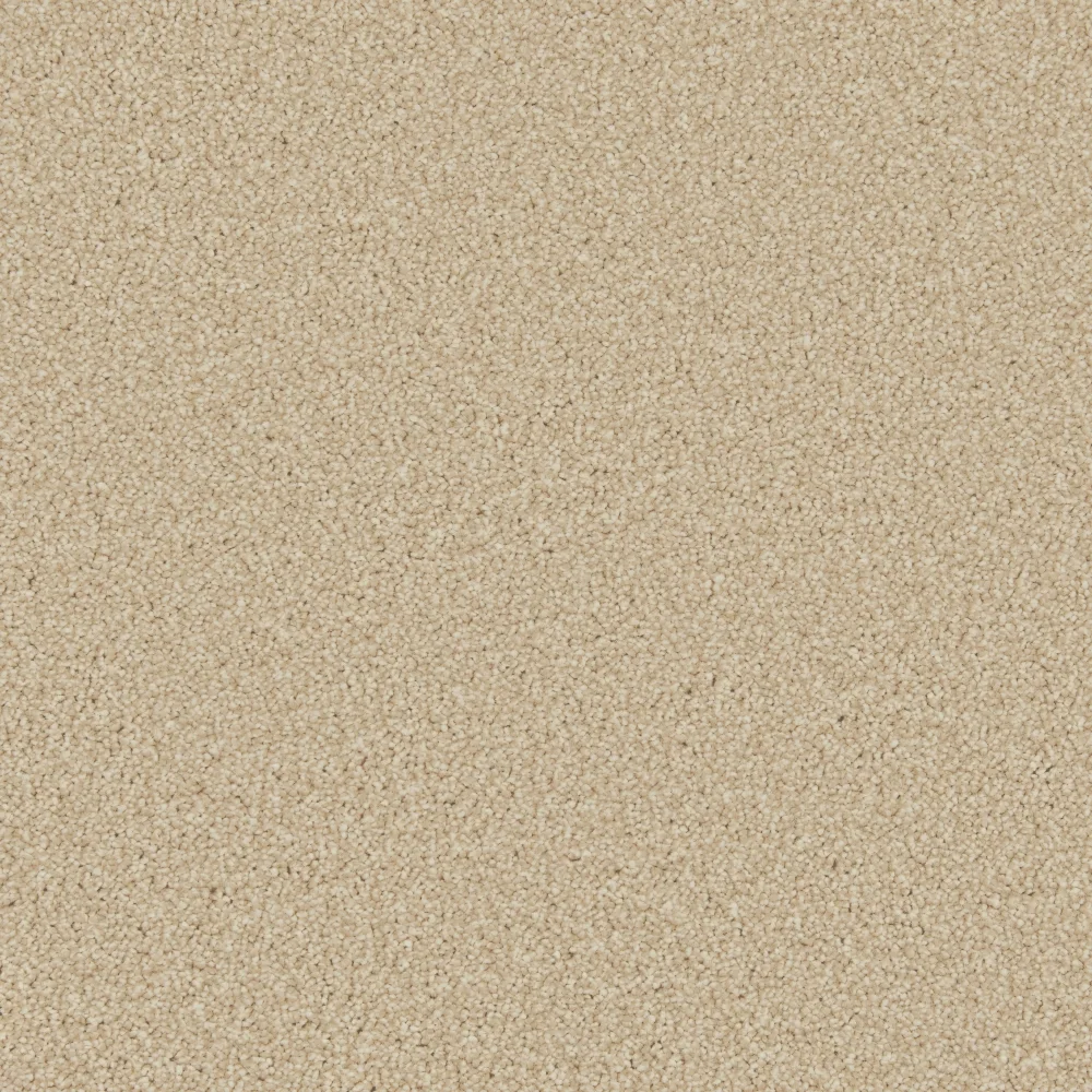 Zenith Carpet by Cormar Carpets - Quality Flooring