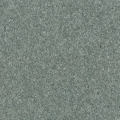 Royal Charter Deluxe Polished Steel
