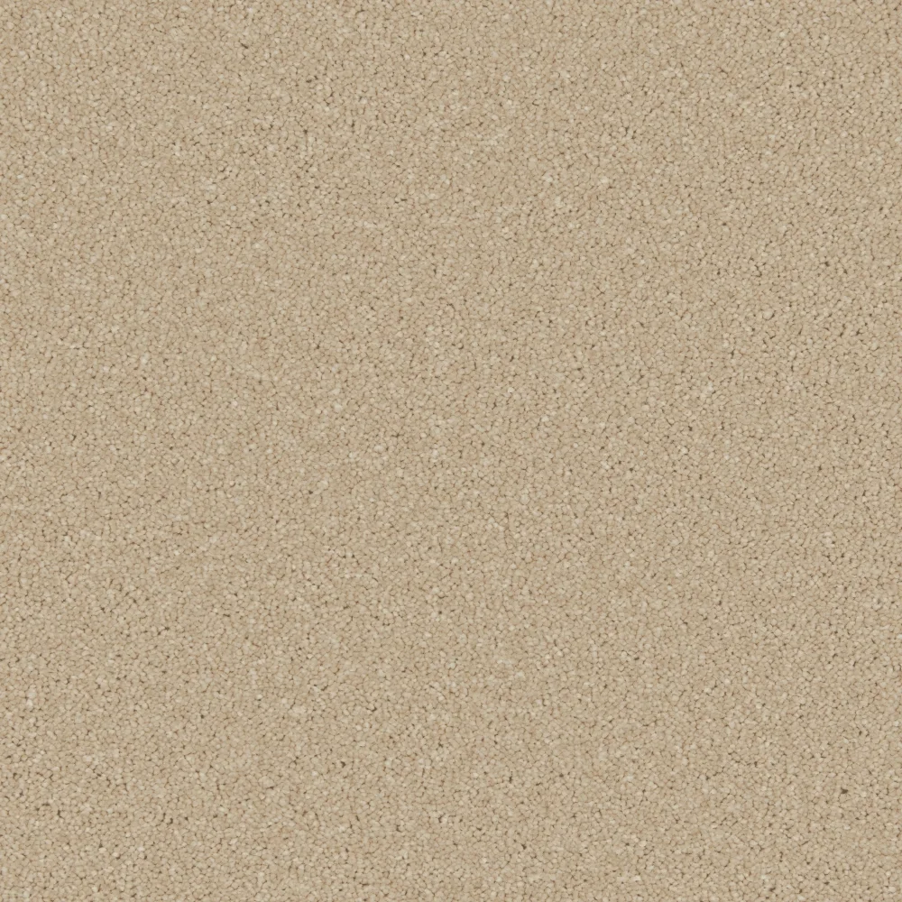 Zenith Carpet by Cormar Carpets - Quality Flooring
