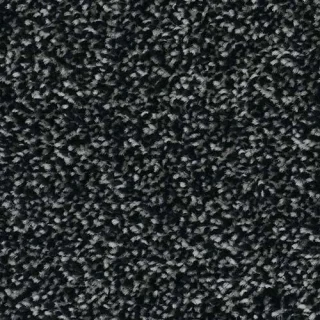 coal dust
