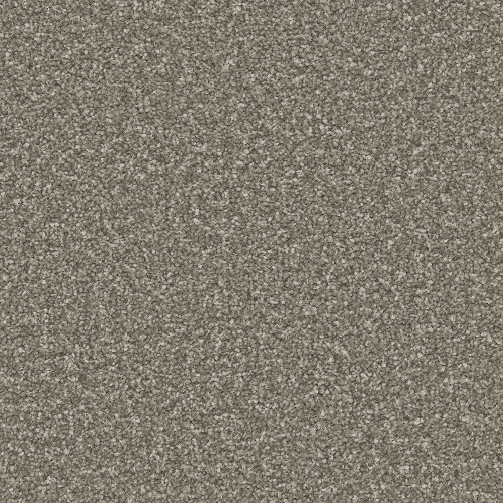 Apollo Plus Carpet by Cormar Carpets | Quality Flooring