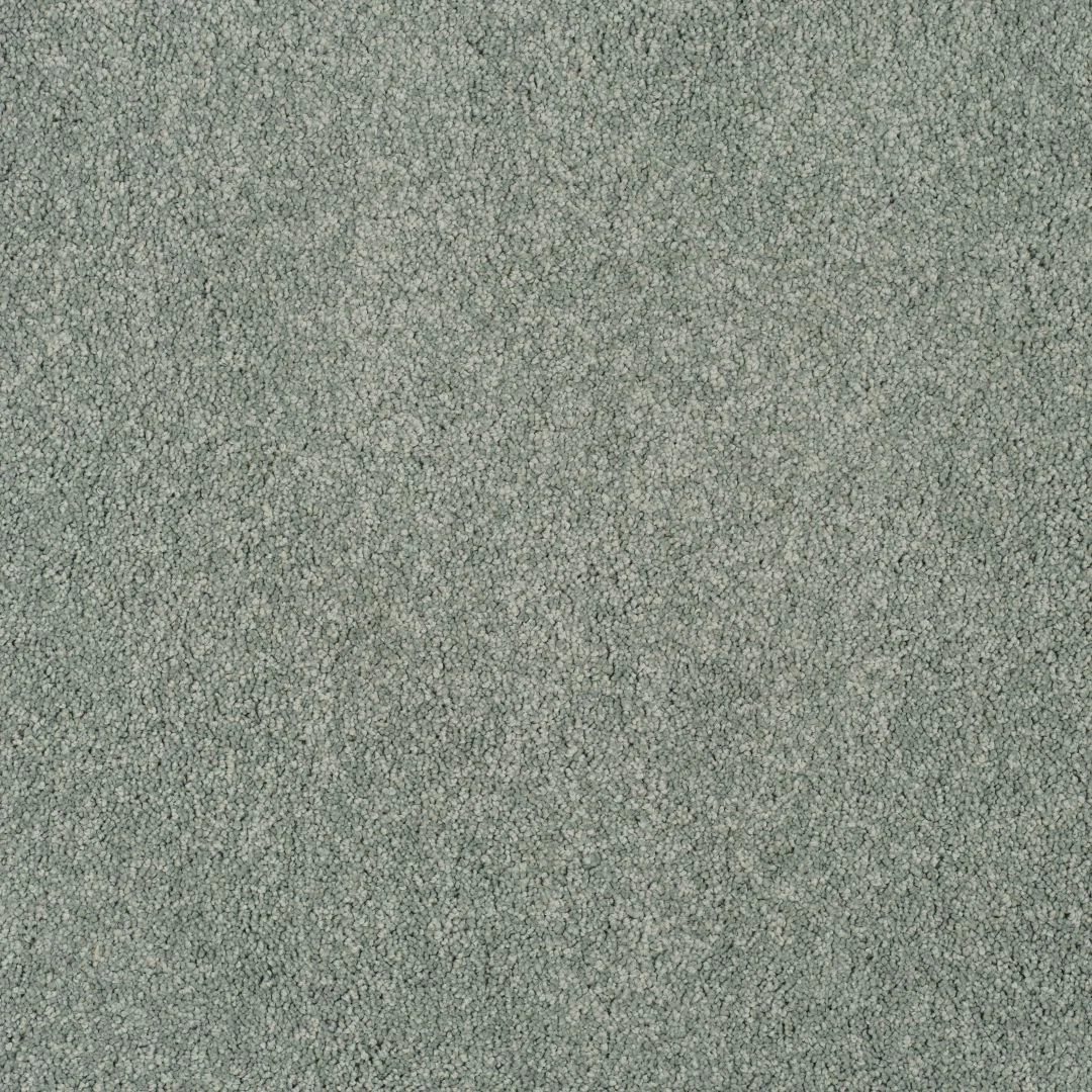 Magical Feeling Carpet by Balta – Quality Flooring