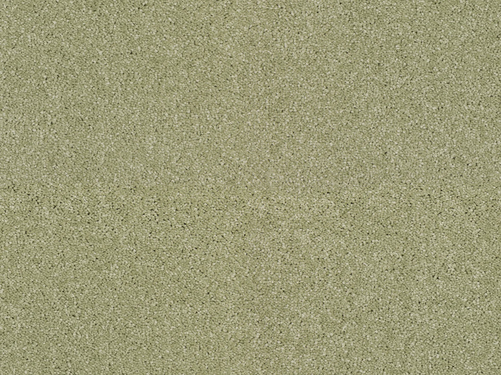 Heathertwist Elite Carpet by Lano | Quality Carpets in WV11