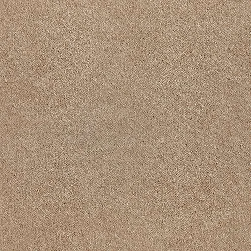 Sublime tropical sand