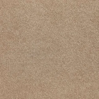 tropical sand