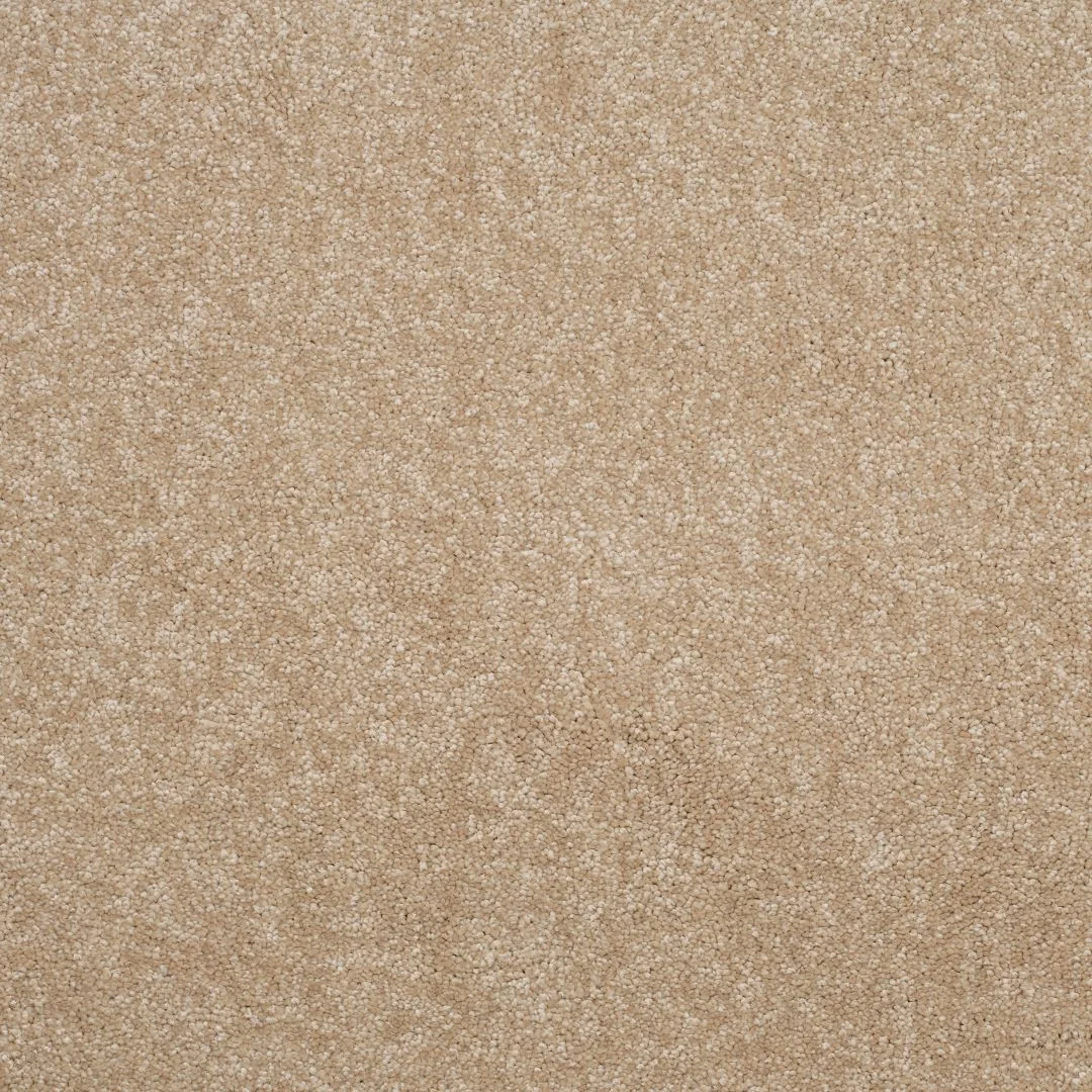Eclipse Carpet by Balta - Quality Flooring in Wednesfield
