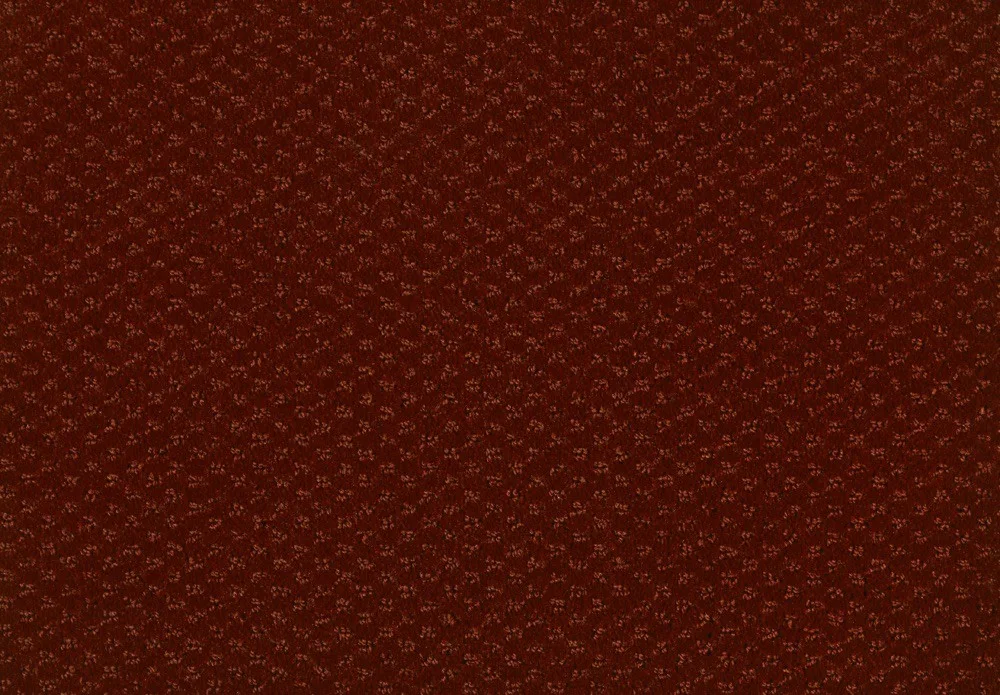 Carve Classic Carpet by Lano - Durable Polyamide