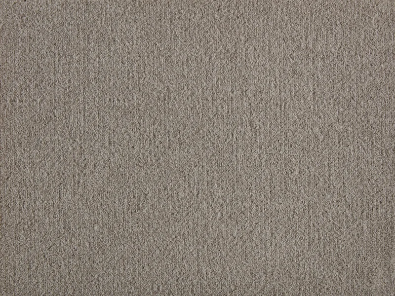 Rumba 252Magnolia 2