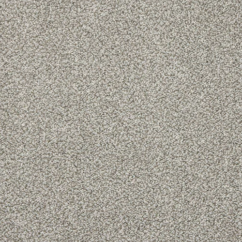 Soft Noble elephant dust