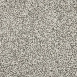 elephant dust