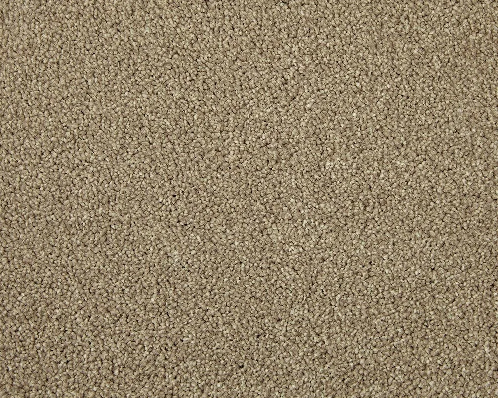 Apollo Elite Carpet by Cormar - Durable & Stylish