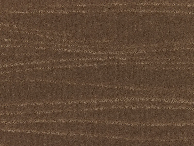 Carve Linea 261Camel 1