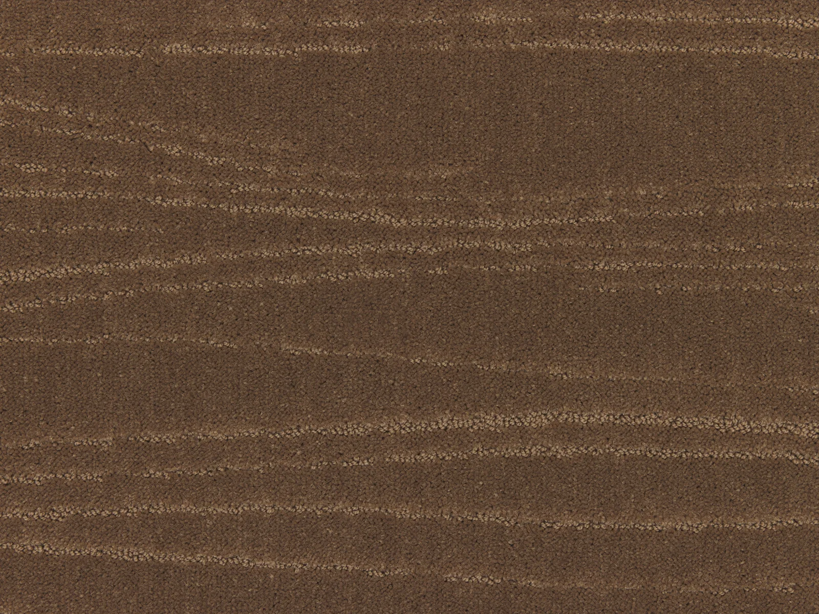 Lano Carve Linea Carpet | Durable and Stylish