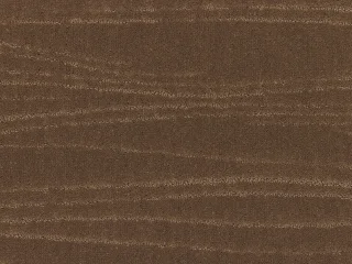261Camel 1