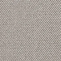 Pebble Earth