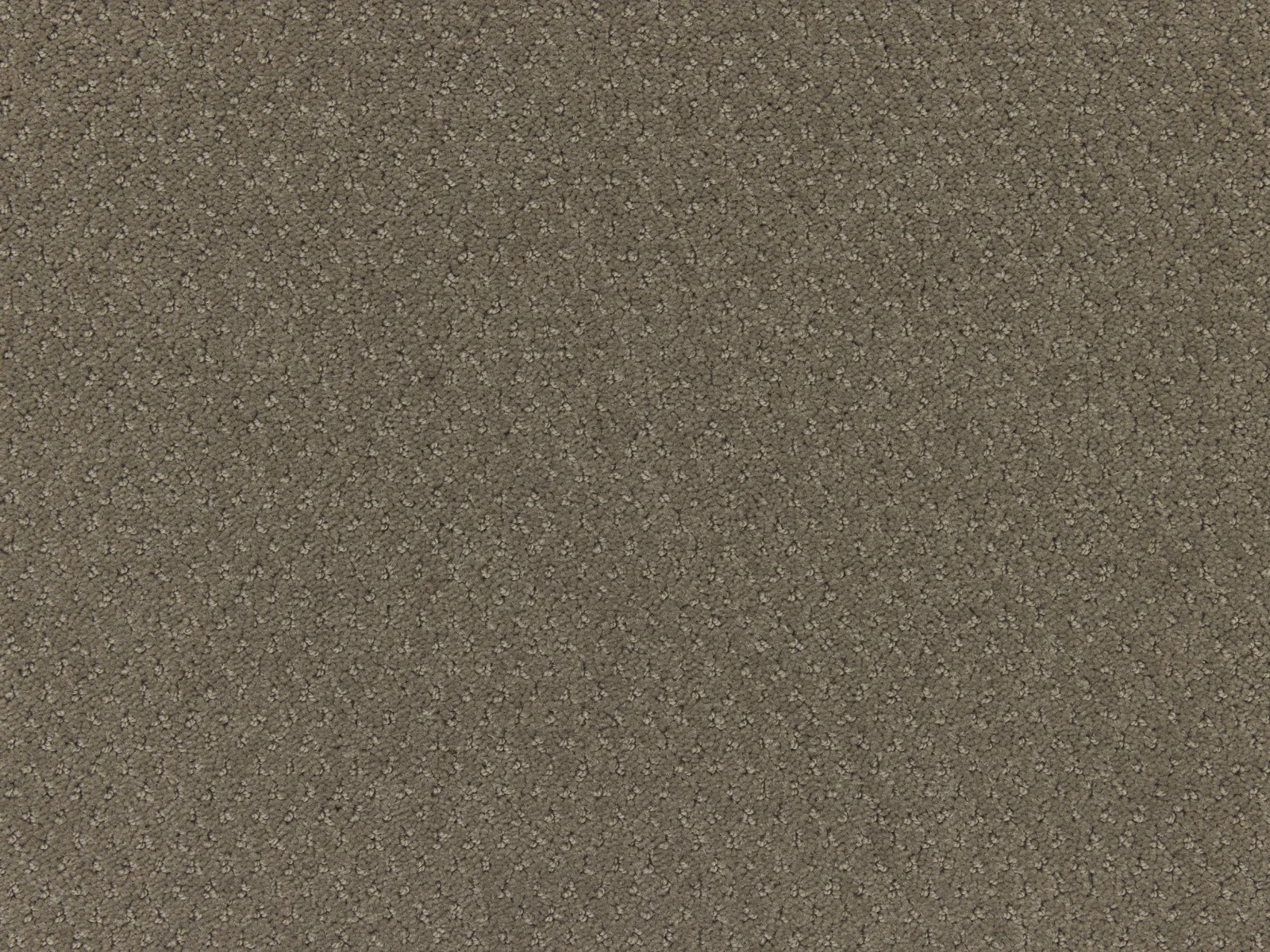 Carve Classic Carpet by Lano - Durable Polyamide