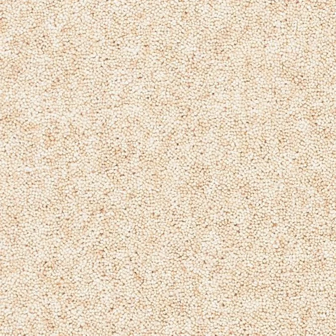 Rice Pudding