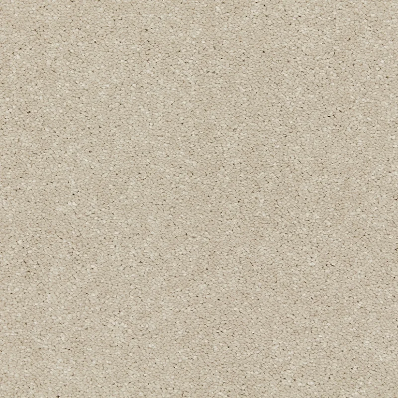 Riva Aniseed