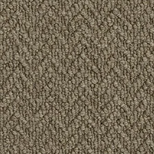Sawley Wool Loop Shark