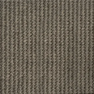 Bronze Plain