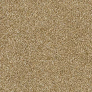 Barley Meadow
