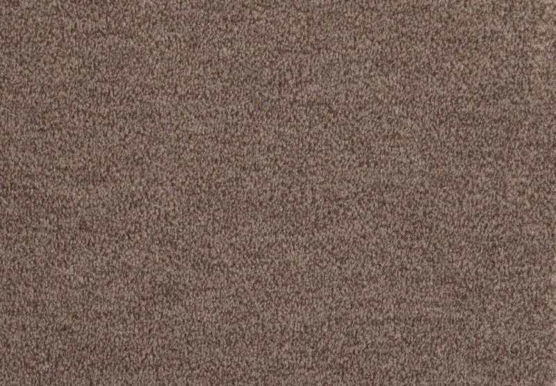 Rumba 293Sepia 3
