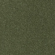 Fine Westex Twist Ombersley Olive