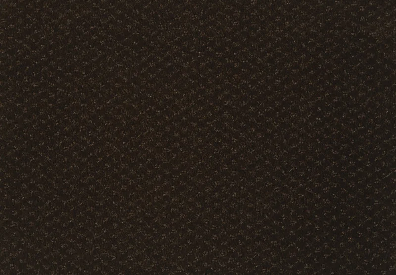 Carve Classic 291Sepia 1