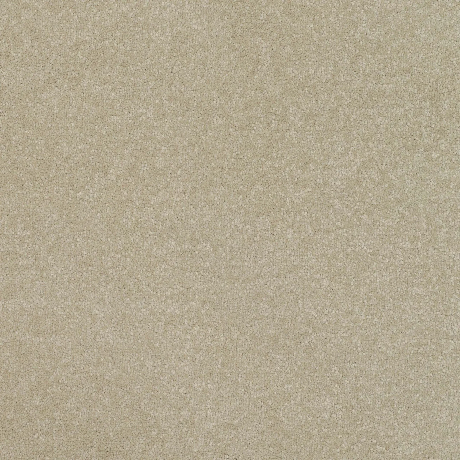 Pinnacle Carpet by Balta | Quality Flooring in Wednesfield