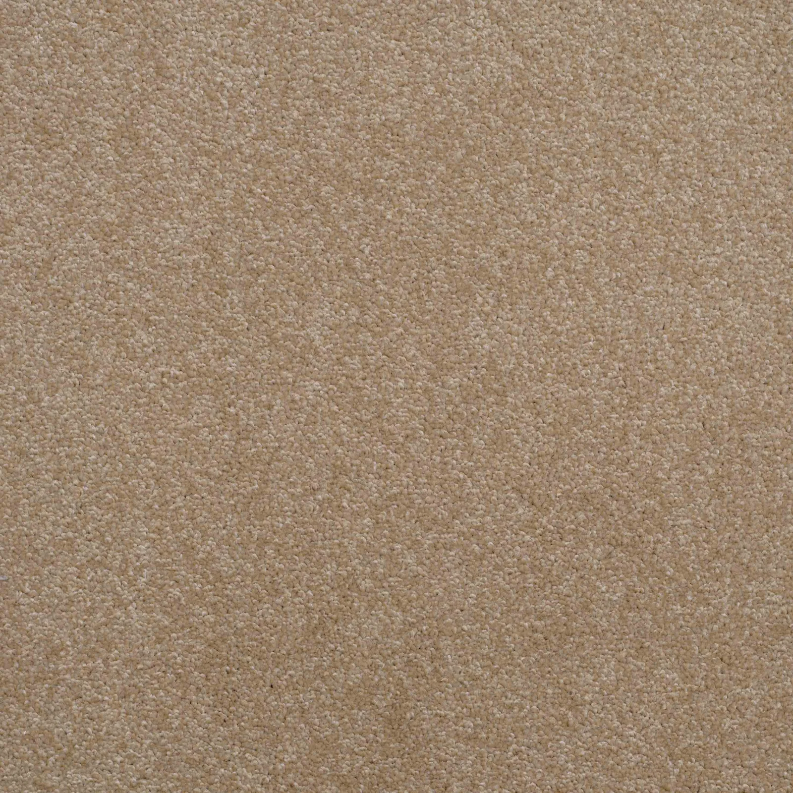 Shepherd Twist Carpet by Balta - Quality Carpets WV11