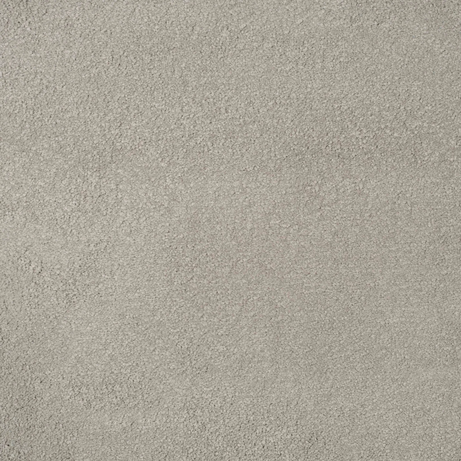 Delight Carpet by Balta - Finishing Touch Collection