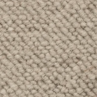 Soft Mink