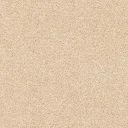Barley