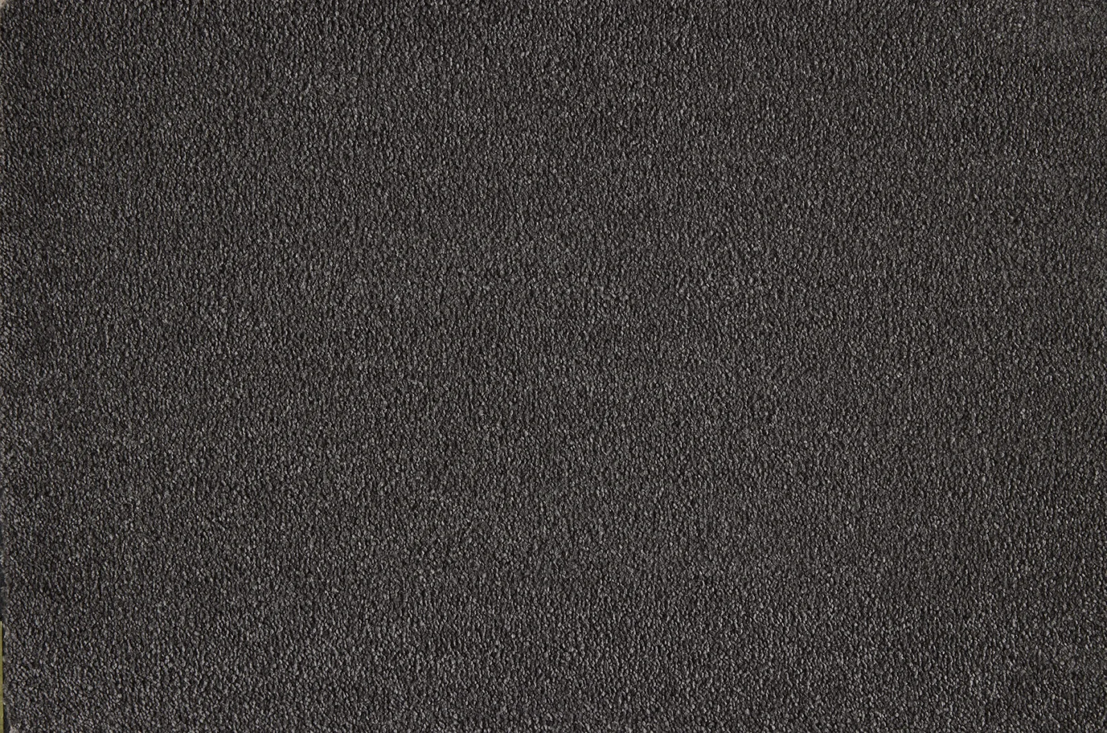 Boulevard Carpet by Lano - Quality & Style