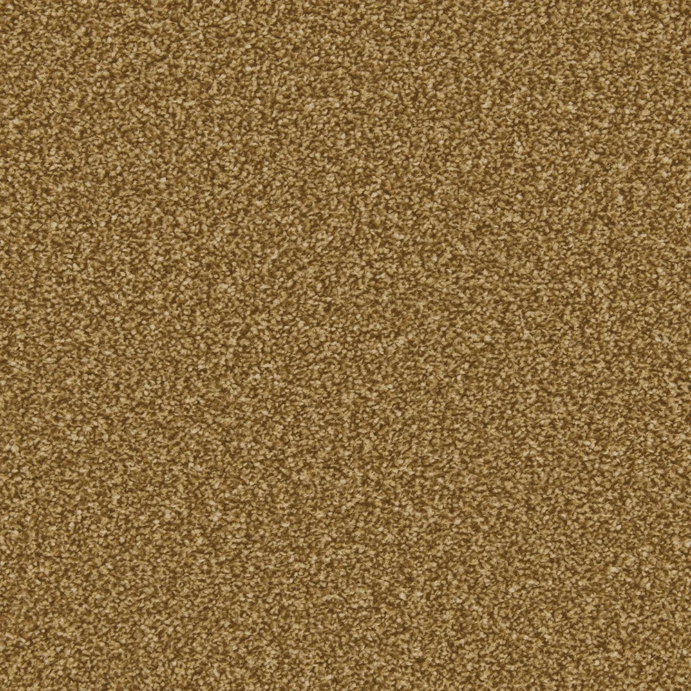 Apollo Plus Carpet by Cormar Carpets | Quality Flooring