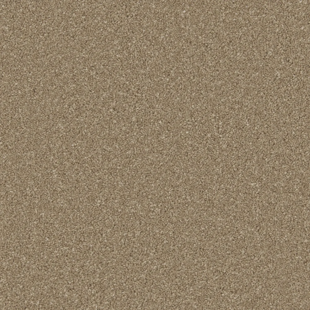 Zenith Carpet by Cormar Carpets - Quality Flooring