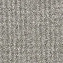 Grey Willow