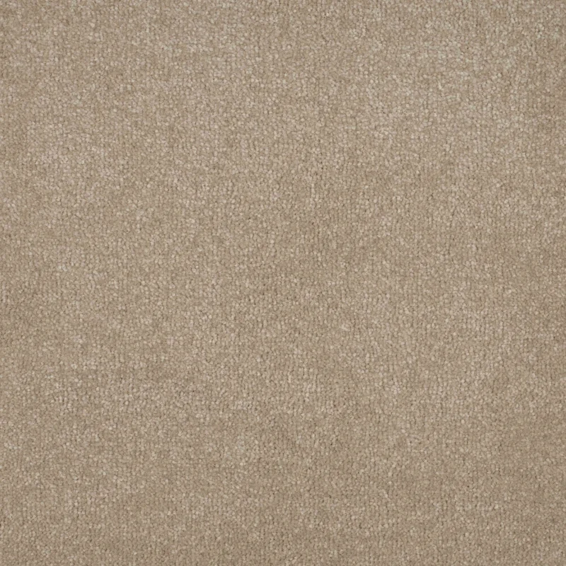 Essence macadamia