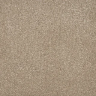macadamia