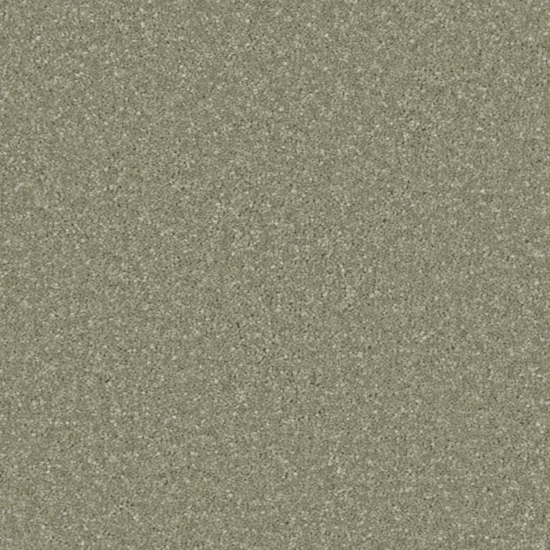 Zenith Tuscan Olive
