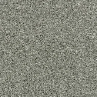 Silver Shadow