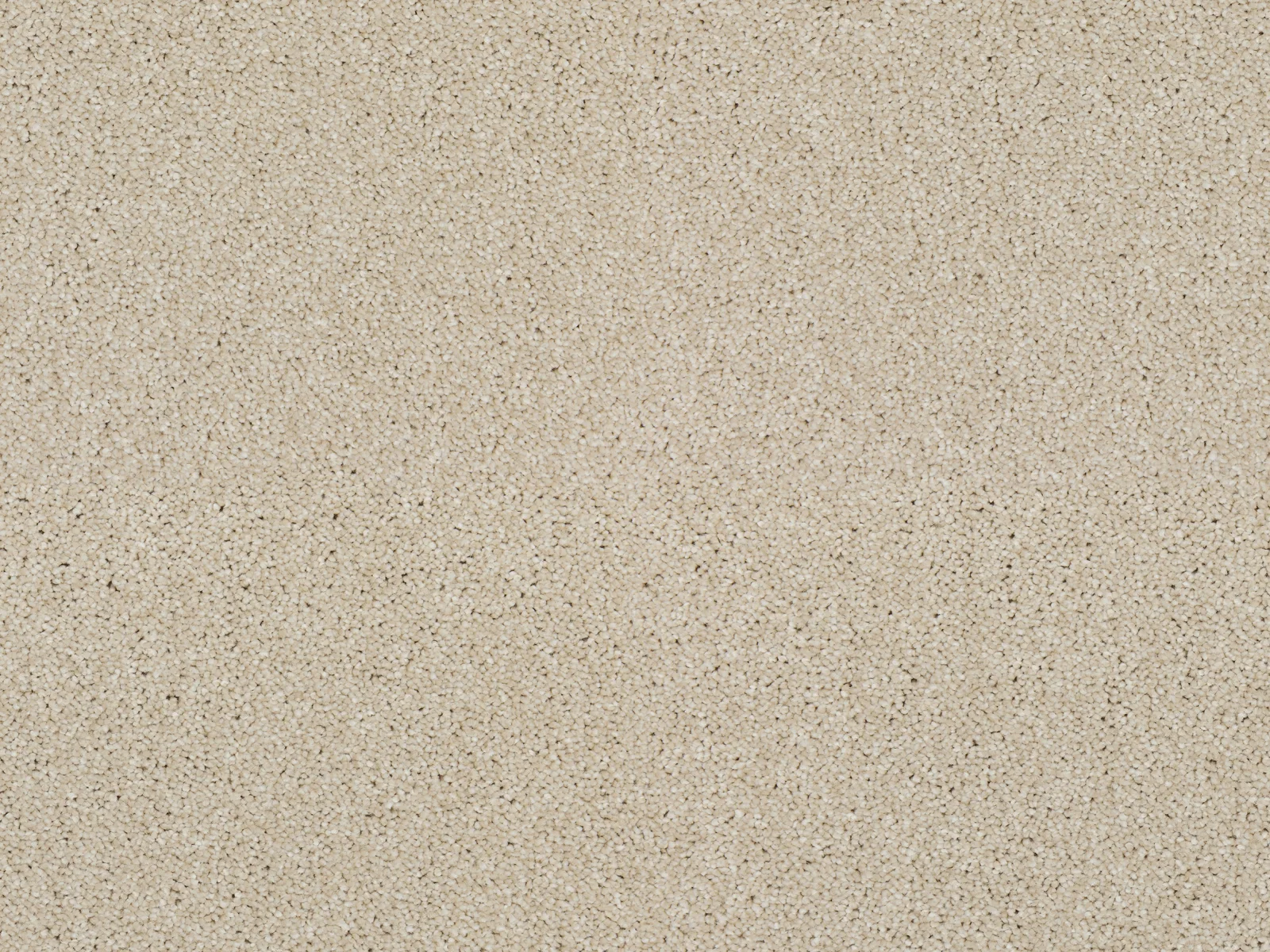 Heathertwist Elite Carpet by Lano | Quality Carpets in WV11