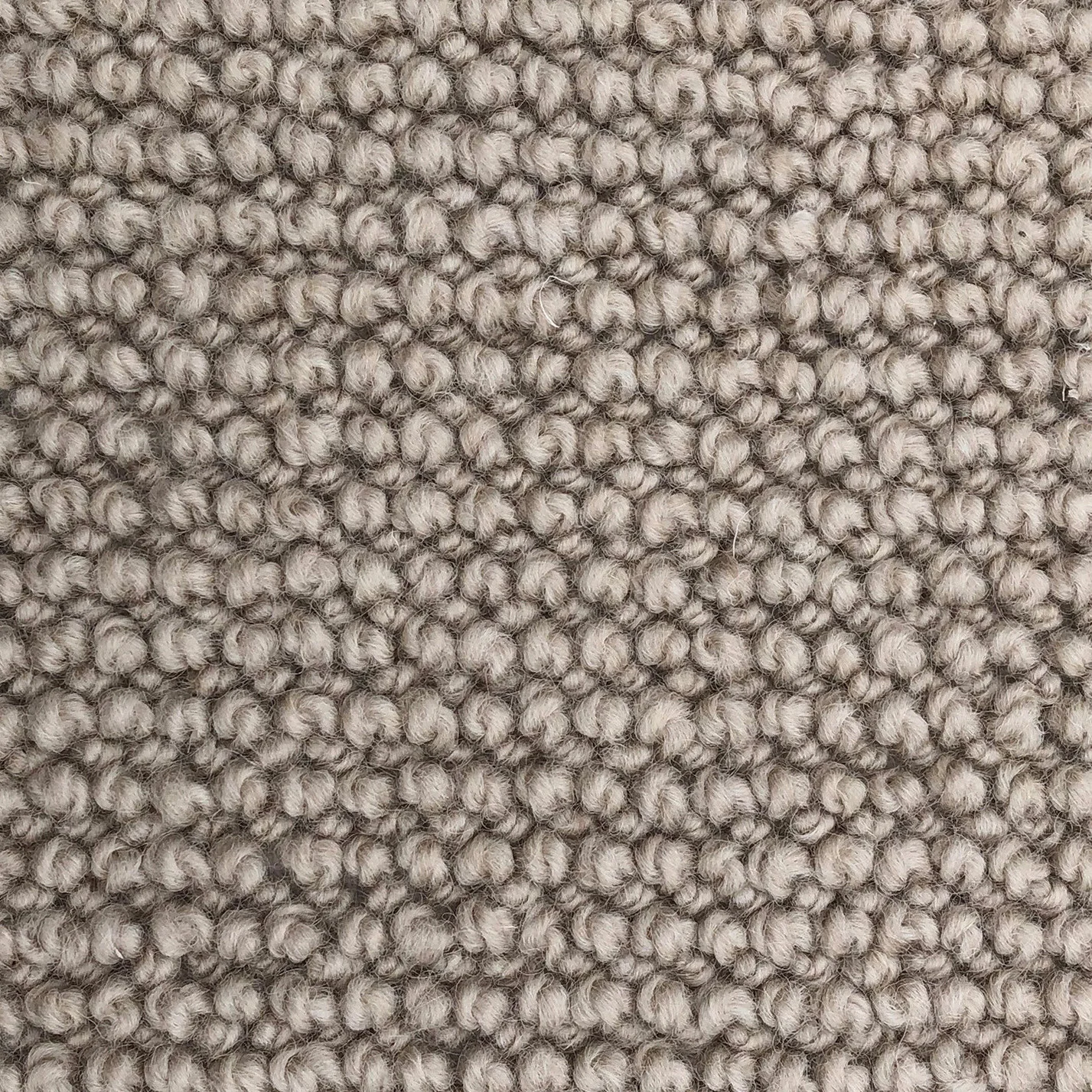 Chantilly LVT by Floors by Lewis Abbott | Judge Carpets