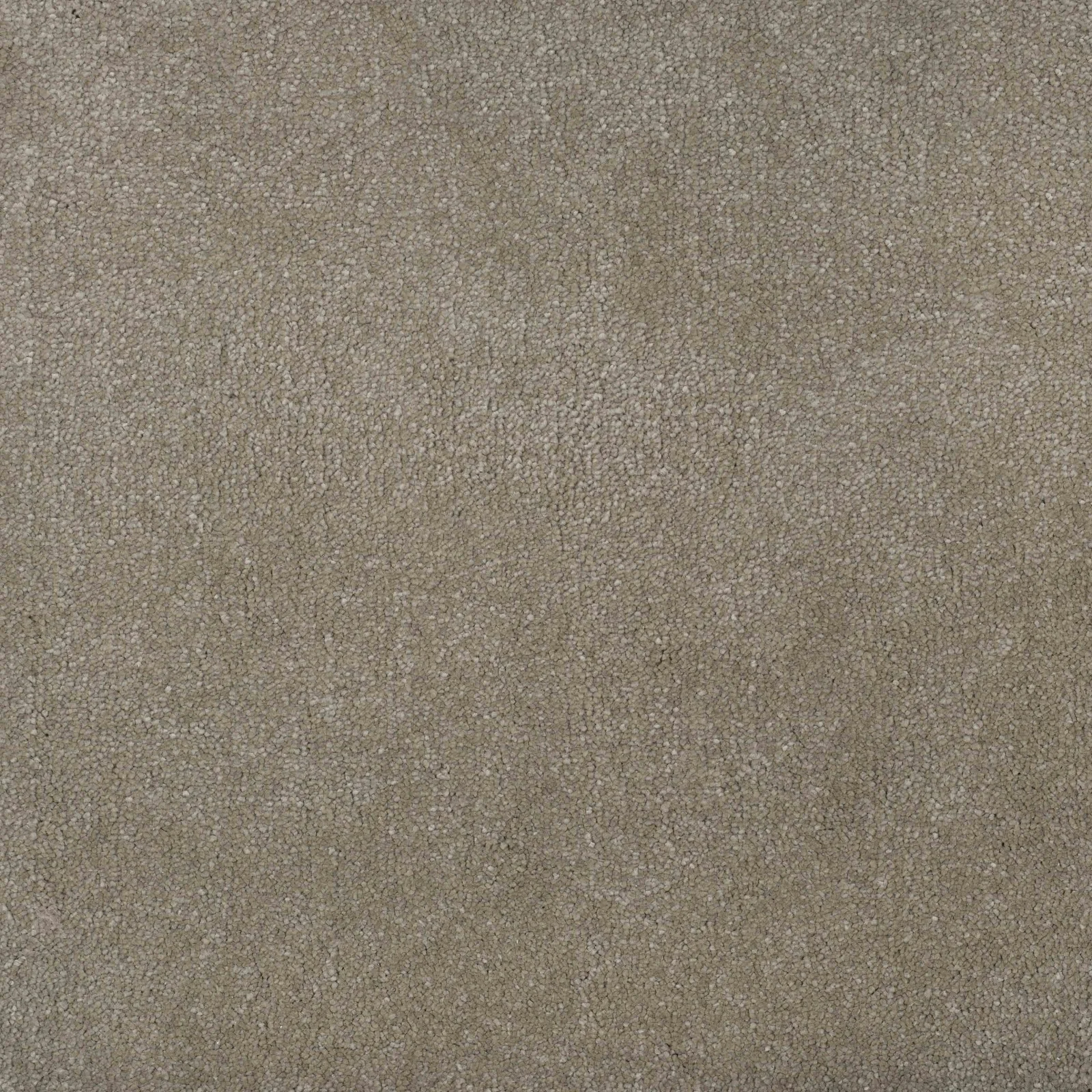 Delight Carpet by Balta - Finishing Touch Collection