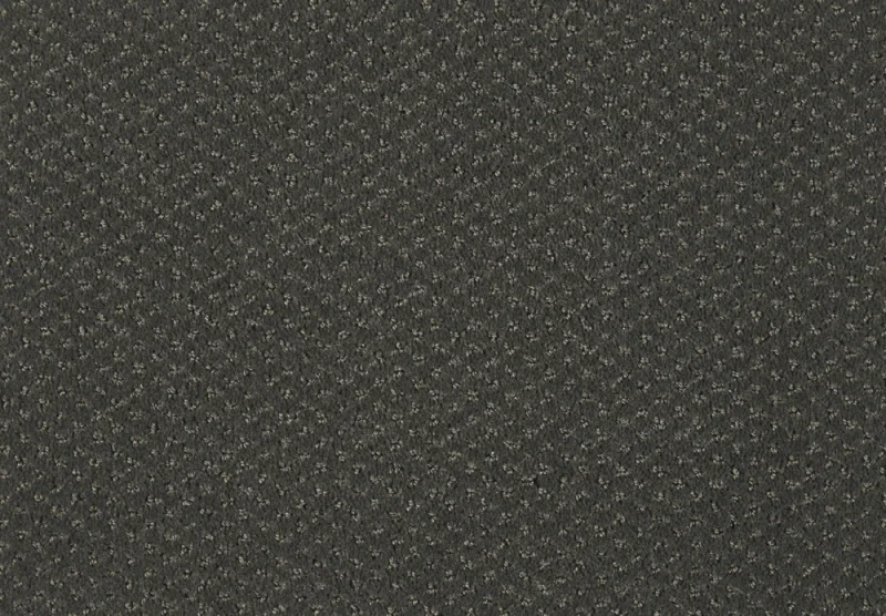 Carve Classic 821Slate 1