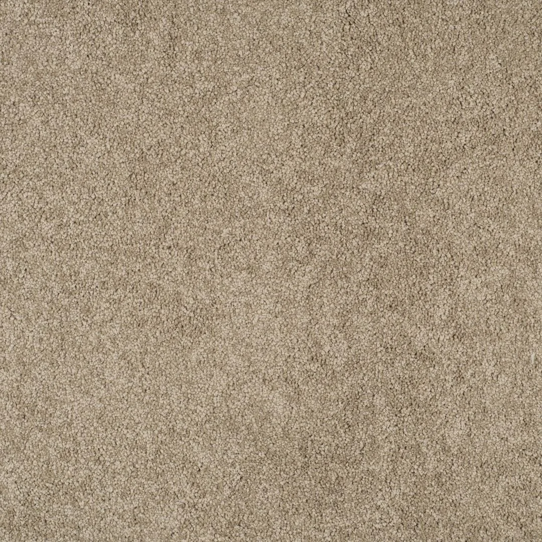 Magical Feeling Carpet by Balta – Quality Flooring