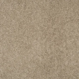 furry beige