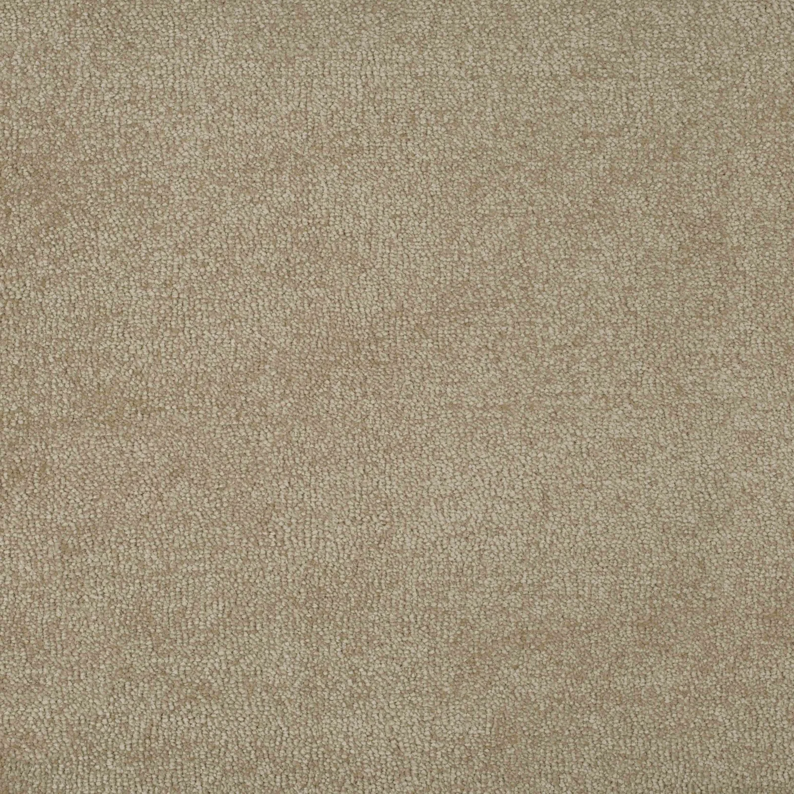 Delight Carpet by Balta - Finishing Touch Collection