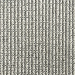 Quicksilver Plain